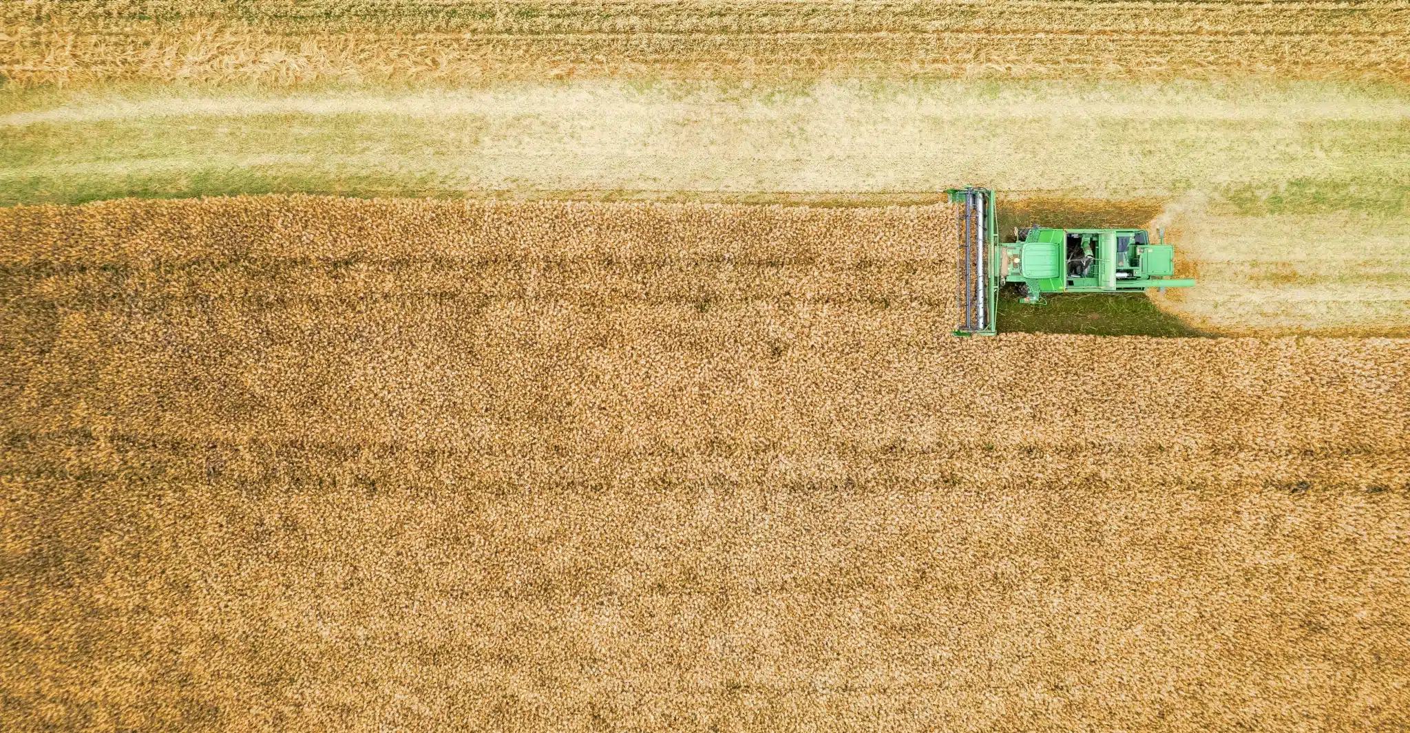 Job image banner