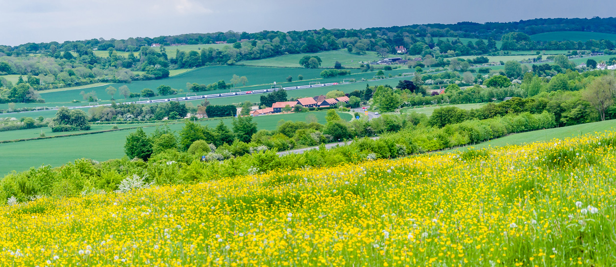 Job image banner