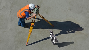 Video cover image