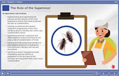 The Role of a Supervisor