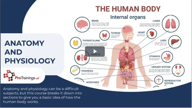 Anatomy and Physiology - CPD Certified & Skills for Care Endorsed