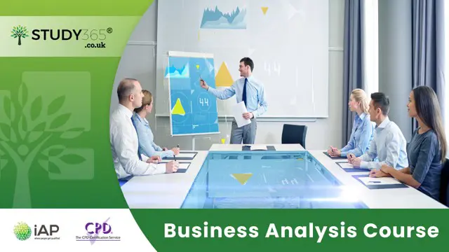 Business Analysis Course 
