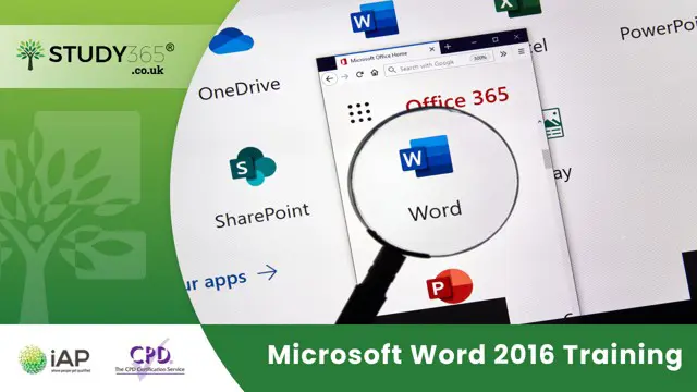 Microsoft Word 2016 Training
