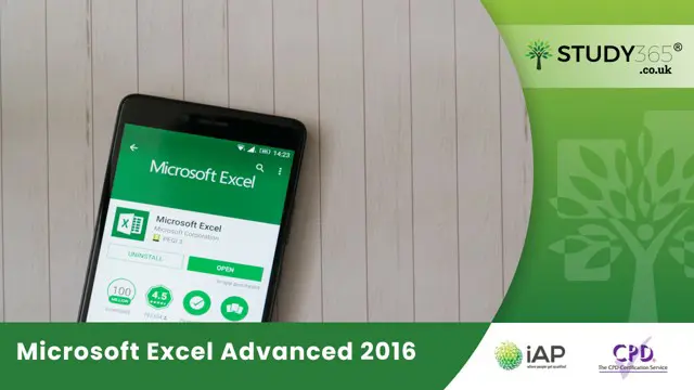 Microsoft Excel Advanced 2016