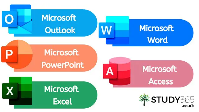 Microsoft Office All-in-One Package