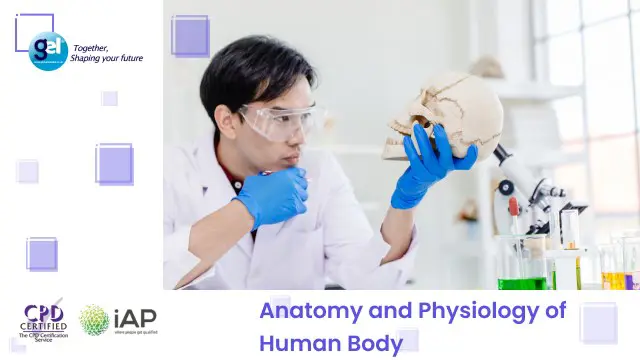Anatomy and Physiology of Human Body 