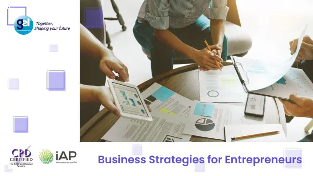 Business Strategies for Entrepreneurs