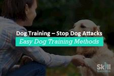 Dog Training: How to Stop Dog Attacks