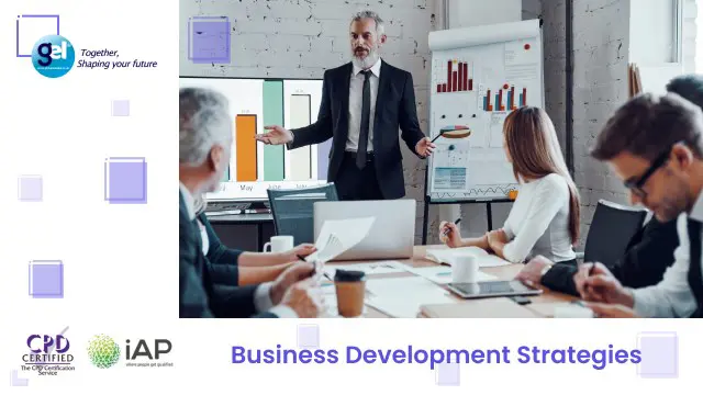 Business Development Strategies 