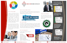 Redbridge Six Sigma Brochure