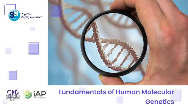 Fundamentals of Human Molecular Genetics 