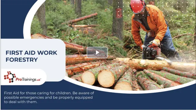 First Aid at Work for Forestry Requalification blended part one (FAW+F) - CPD Certified