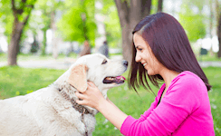 Dog Whispering & Pet Nutrition