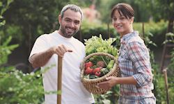Vegetable Gardening Diploma Course