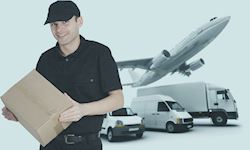 Professional Diploma in Air Courier