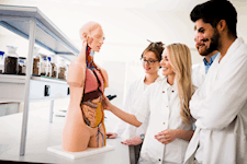 Anatomy and Physiology