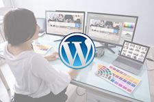 WordPress & Adobe Package