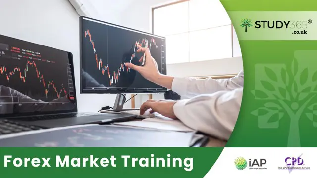 Forex Market Training 