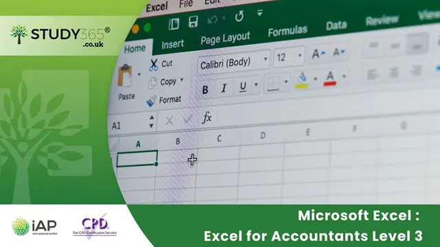 Microsoft Excel : Excel for Accountants