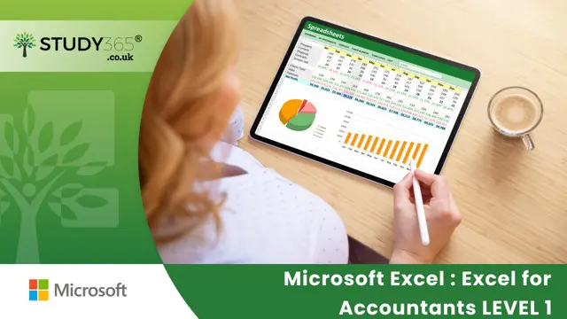 Microsoft Excel : Excel for Accountants LEVEL 1