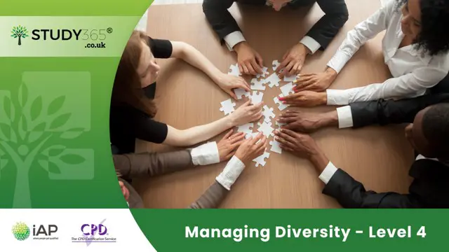 Managing Diversity - Level 4