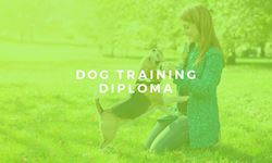 Level 3 Diploma in Dog Training
