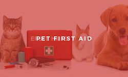 Pet First Aid Training Certificate Level 2