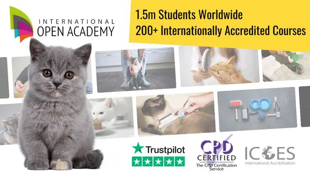 Accredited Cat Care Course