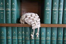 Traditional judge's wig on a bookshelf full of bound copies of acts of parliament