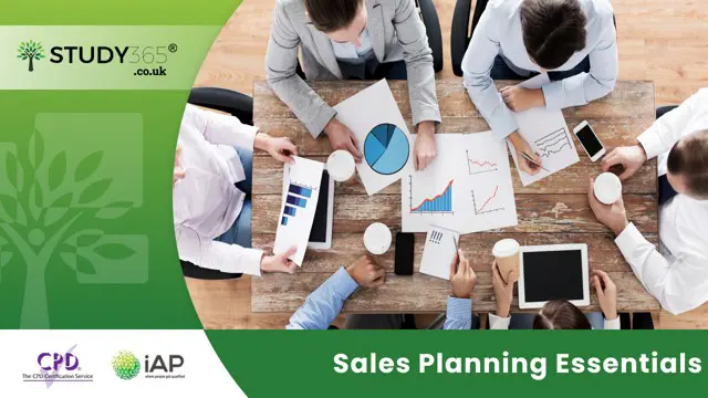 Sales Planning Essentials