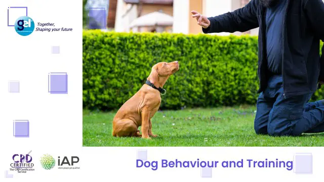Dog Behaviour and Training 