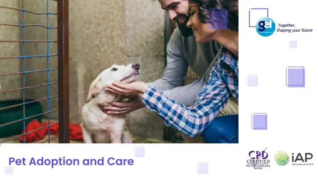 Pet Adoption and Care
