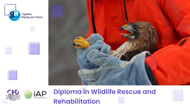 Diploma in Wildlife Rescue and Rehabilitation