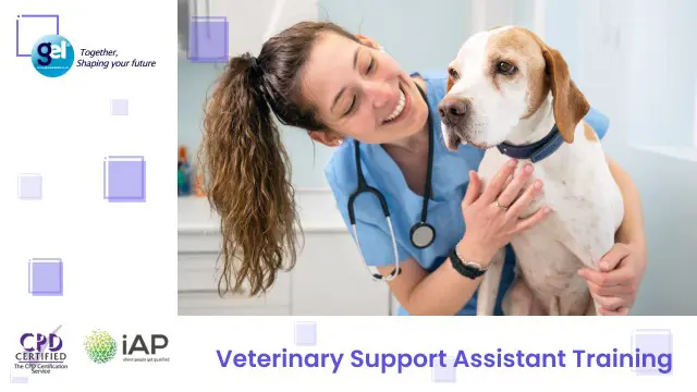 Veterinary Support Assistant Training