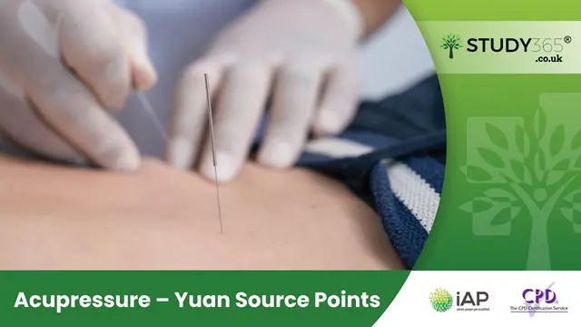 Acupressure – Yuan Source Points