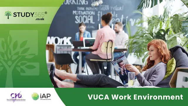 VUCA Work Environment 