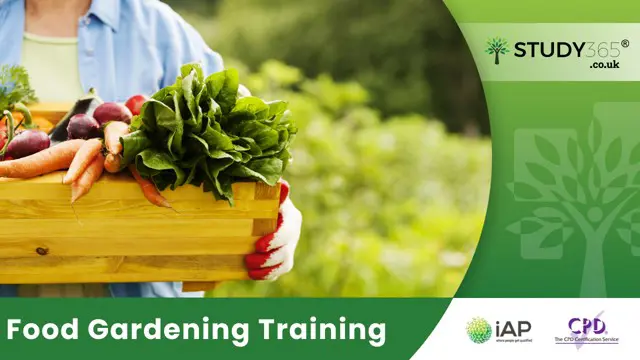 Food Gardening Training 