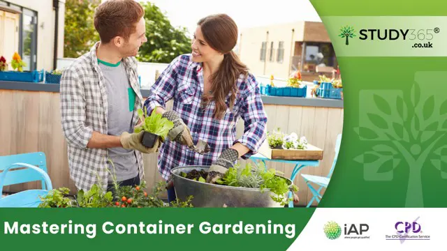 Mastering Container Gardening  