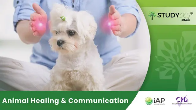 Animal Healing & Communication