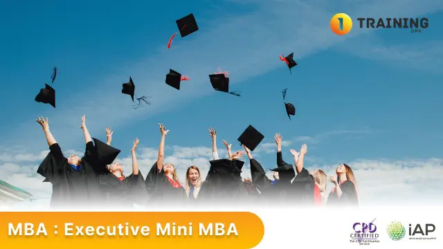 MBA : Executive Mini MBA  