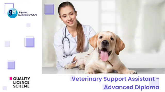 Veterinary Support Assistant - Advanced Diploma