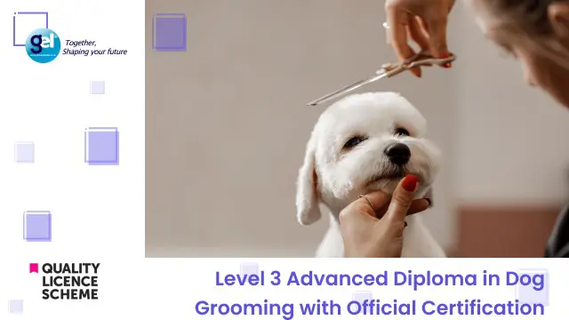 Level 3 Advanced Diploma in Dog Grooming with Official Certification