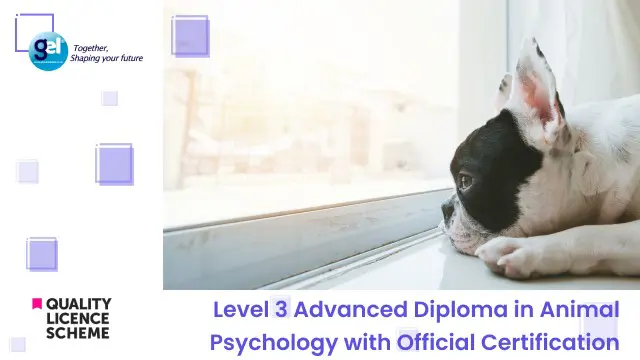 Level 3 Advanced Diploma in Animal Psychology with Official Certification  
