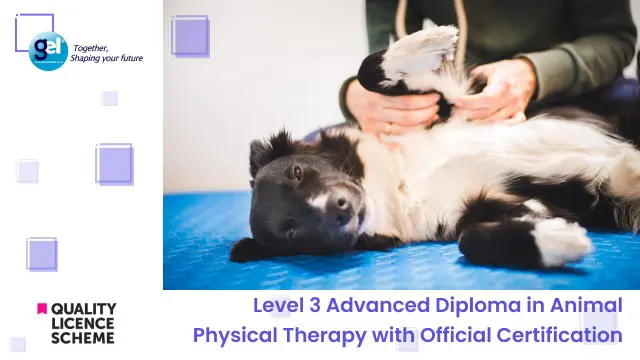 Level 3 Advanced Diploma in Animal Physical Therapy with Official Certification