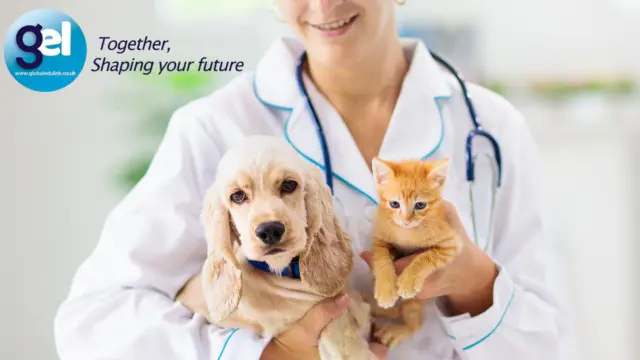 Advanced Diploma in Animal Care Career Level 3