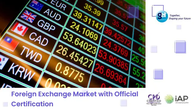 Foreign Exchange Market with Official Certification