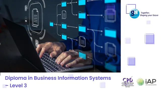 Diploma in Business Information Systems – Level 3