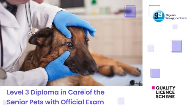 Level 3 Diploma in Care of the Senior Pets with Official Exam 