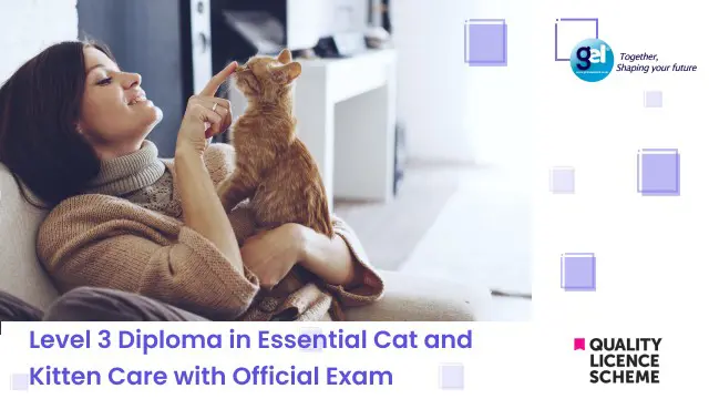 Level 3 Diploma in Essential Cat and Kitten Care with Official Exam
