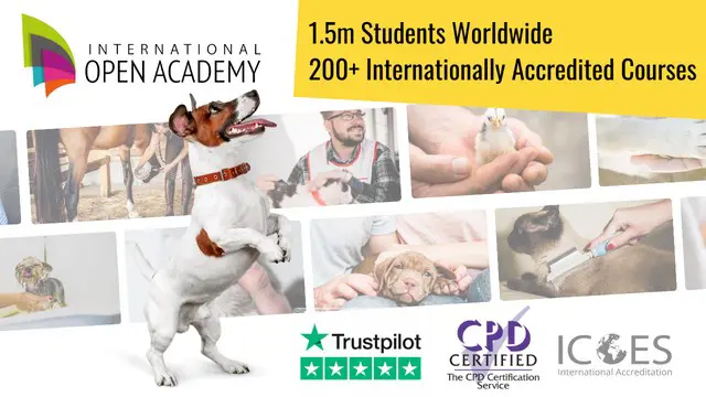 Animal Care Bundle - 6 CPD Accredited Courses 
